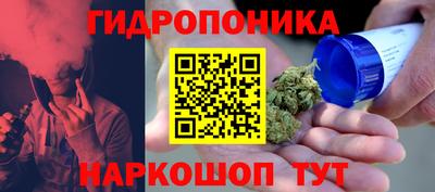 шишки Апрелевка