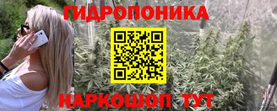 шишки Апрелевка